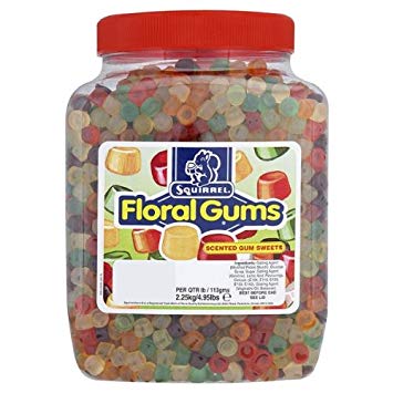 Squirrel Floral Gums Jar 2.25kg [Regular Stock], Squirrel, Bulk Candy- HP Imports